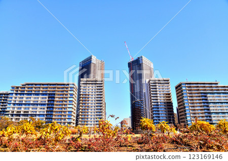 View towards Harumi Flag from Harumi Pier Park (Chuo-ku, Tokyo) [2025.1] 123169146