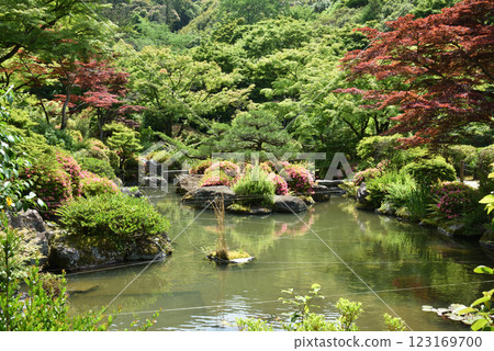 Mimuroto Temple: Yorakuen Garden with a strolling pond Mimuroto Temple: Yorakuen Garden with a strolling pond 123169700