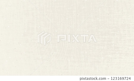 Ecru grain textile texture. Vintage ecru background with dots, speckles, specks, flecks, particles. Light rustic craft repeating paper. Natural grunge surface texture. Vector backdrop Ecru grain textile texture. Vintage ecru background with dots, speckles, specks, flecks, particles. Light rustic craft repeating paper. Natural grunge surface texture. Vector backdrop 123169724