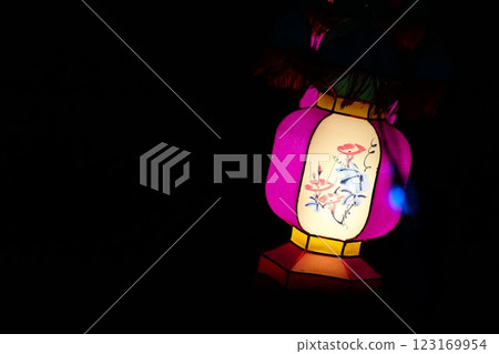 亞洲夜晚的燈籠（農曆新年） 123169954