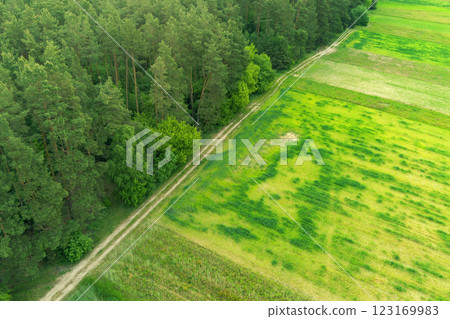 View from above of countryside. View of cultivated fields and green forest in summer. Rural landscape background View from above of countryside. View of cultivated fields and green forest in summer. Rural landscape background 123169983