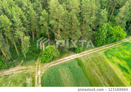 View from above of countryside. View of cultivated fields and green forest in summer. Rural landscape background 123169984