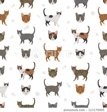 Brazilian shorthair Cat seamless pattern. All coat colors set. All cat breeds characteristics infographic Brazilian shorthair Cat seamless pattern. All coat colors set. All cat breeds characteristics infographic 123170005