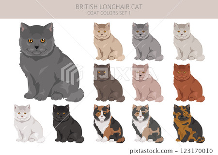 British longhair Cat clipart. All coat colors set.  All cat breeds characteristics infographic 123170010