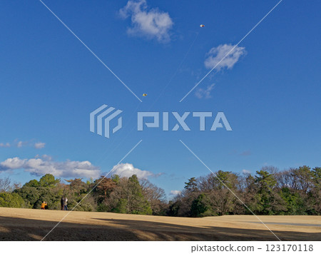 Flying a kite under the blue sky 123170118
