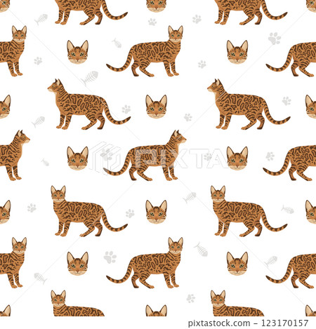 Bengal Cat seamless pattern. All coat colors set. All cat breeds characteristics infographic Bengal Cat seamless pattern. All coat colors set. All cat breeds characteristics infographic 123170157