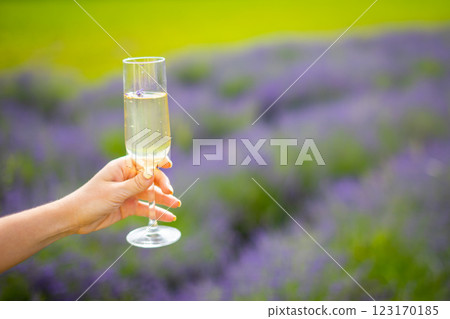 Woman hand with champagne glass on a Lavander fields background in Czech republic 123170185