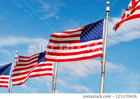 Rows of American flags waving against a sunny sky 123170426
