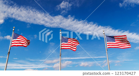 Rows of American flags waving against a sunny sky 123170427