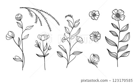 Botanical line art with flowers and leaves collection.Vector illustration. 123170585