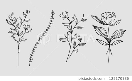 Botanical line art with flowers and leaves collection. Botanical line art with flowers and leaves collection. 123170586