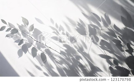 Shadows of leaves reflected on a white wall Natural and stylish background material Copy space Portfolio title side 123170798