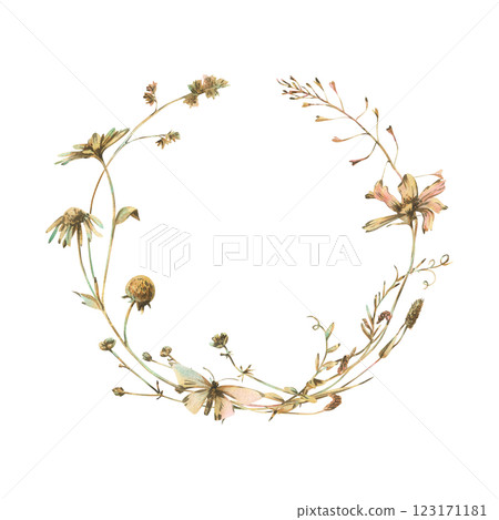 Field, meadow, wild flowers and herbs cosmos, chamomile, clover and insects. Watercolor illustration hand drawn in beige, brown and ocher colors. Circle wreath frame isolated from background 123171181