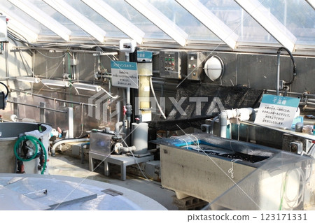 葛西臨海水族的幕後花絮 123171331