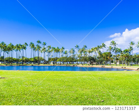 Ala Moana Park, Hawaii 123171337