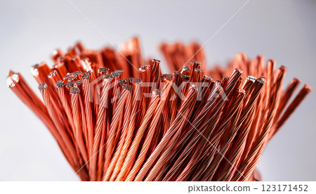 coiled copper wire resting on a reflective white surface. The metallic texture and reddish-orange hue highlight the purity and conductivity of the material, electricity, engineering, construction coiled copper wire resting on a reflective white surface. The metallic texture and reddish-orange hue highlight the purity and conductivity of the material, electricity, engineering, construction 123171452