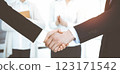 Businessman and woman shaking hands with colleagues at the background. Handshake at meeting in sunny office 123171542