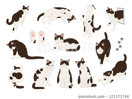 Set of hand-drawn illustrations of black and white cats 123171748