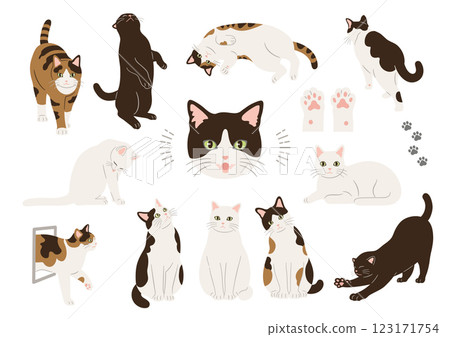 Cat hand drawn illustration set 123171754