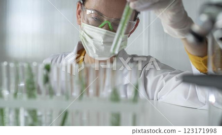 Woman scientist and researcher, wearing a lab coat, green protective gloves and face mask holding a test tube with plants inside, close up. Science concepts 123171998