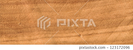 Walnut wood texture, can be used as background, wood grain texture Walnut wood texture, can be used as background, wood grain texture 123172096