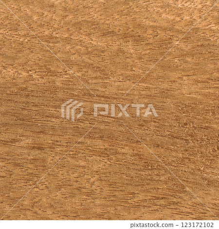 Walnut wood texture, can be used as background, wood grain texture Walnut wood texture, can be used as background, wood grain texture 123172102