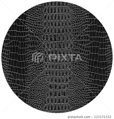 Imitation crocodile skin black and white texture, useful as background for any design work 123172332
