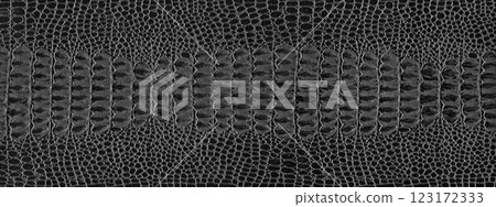 Imitation crocodile skin black and white texture, useful as background for any design work 123172333