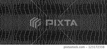 Imitation crocodile skin black and white texture, useful as background for any design work Imitation crocodile skin black and white texture, useful as background for any design work 123172338