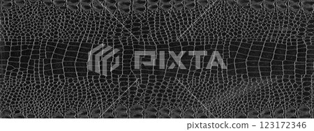Imitation crocodile skin black and white texture, useful as background for any design work 123172346