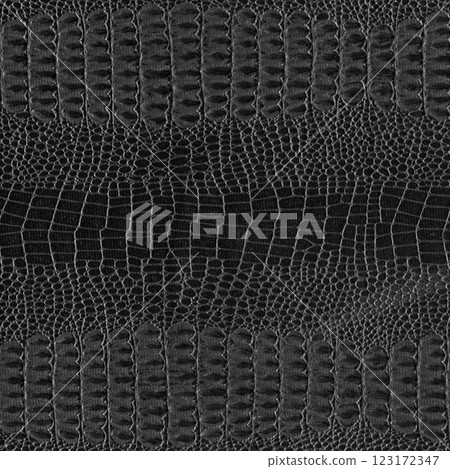 Imitation crocodile skin black and white texture, useful as background for any design work 123172347