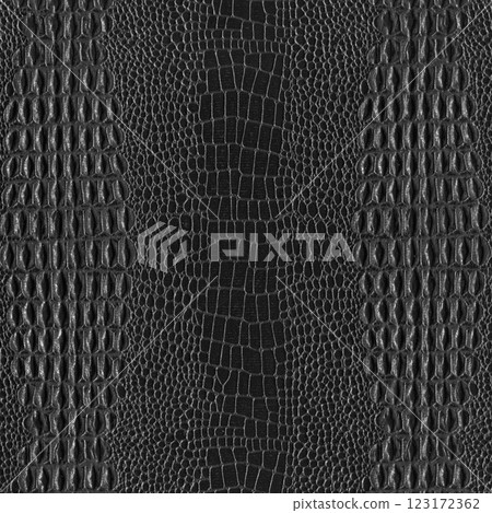 Imitation crocodile skin black and white texture, useful as background for any design work 123172362