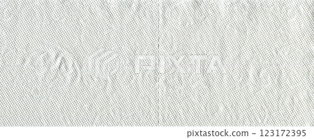 Soft white patterned toilet paper isolated on white background 123172395