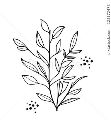 Twigs with Leaves in a Botanical hand drawn.Vector illustration 123172478