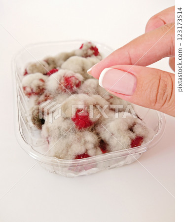 Mold infiltration on fruit underscores serious health risk, mold jeopardizing immune stability, mold generating toxins that threaten well-being if consumed, prompting immediate disposal for safety 123173514