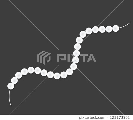 String of white pearl beads on a black velvet background. Mother-of-pearl necklace isolated vector illustration. 123173591