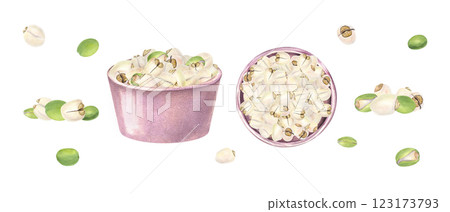 Lotus Seed heap in ceramic pink bowls watercolor illustration. White peeled and green unpeeled water lily nuts. Side view and top view. Pile of raw tasty vegan food. For kitchen inspired designs 123173793