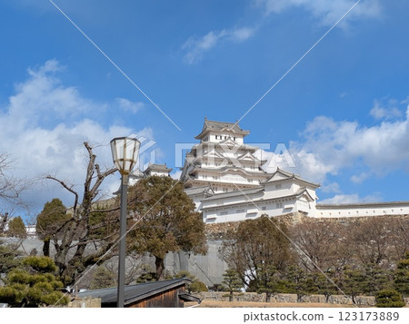 The castle 123173889