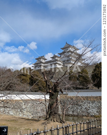 Cultural property 123173892