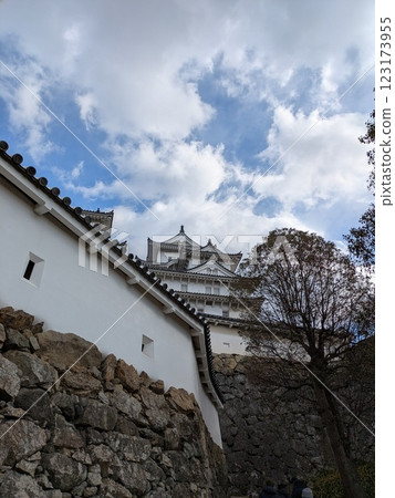 The castle wall 123173955