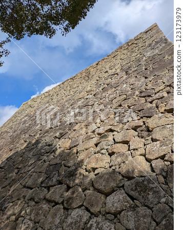 The castle wall 123173979