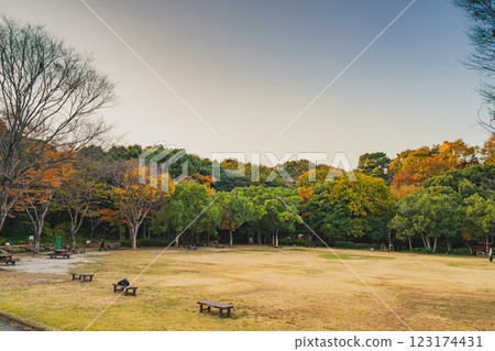 Evening view of Hamamatsu Castle Park in Hamamatsu city with autumn leaves and benches (Shizuoka prefecture) Evening view of Hamamatsu Castle Park in Hamamatsu city with autumn leaves and benches (Shizuoka prefecture) 123174431