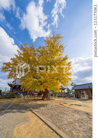 [不. 5 Fudasho] 地藏寺 Tarachine Daiginko [四國 88 個地方] 123175061
