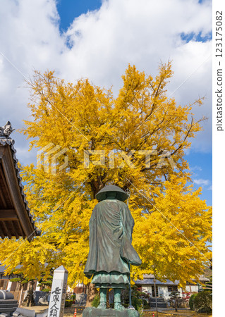 [第5號寺院] 地藏寺：修行大師像與銀杏樹 [四國88所] 123175082