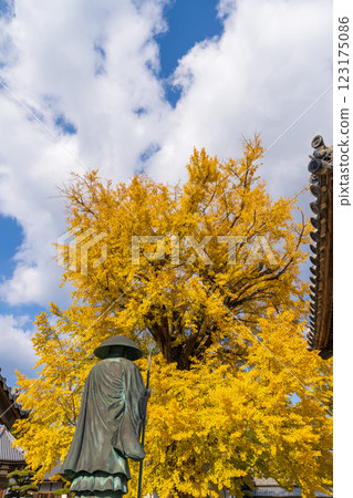 [Temple No. 5] Jizo-ji Temple: Statue of Shugyo Daishi and the Tarachine Ginkgo Tree [Shikoku 88 Temples] 123175086