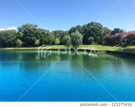 Refreshing spring park pond Refreshing spring park pond 123175416