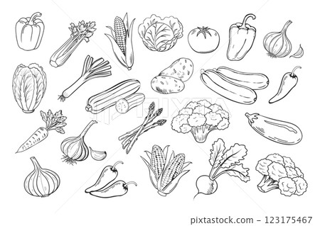 Sketch vegetables icons set. Collection of hand drawn farm product for restaurant menu, market label. Black and white illustration. 123175467