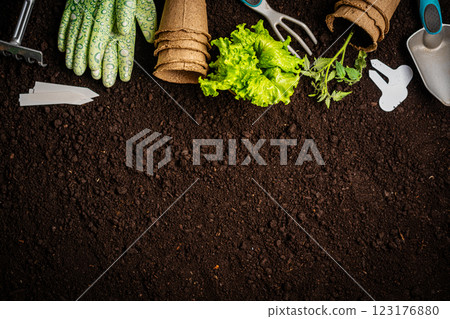 Garden tools and plants Garden tools and plants 123176880