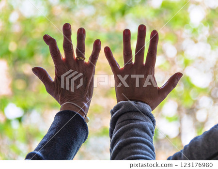 hands, woman, mother 123176980