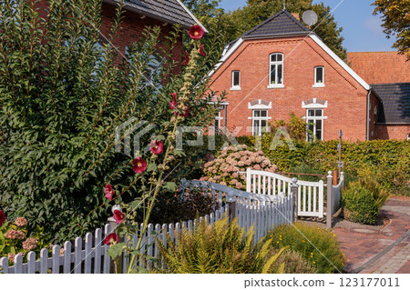 the german krummhoern at the north sea the german krummhoern at the north sea 123177011